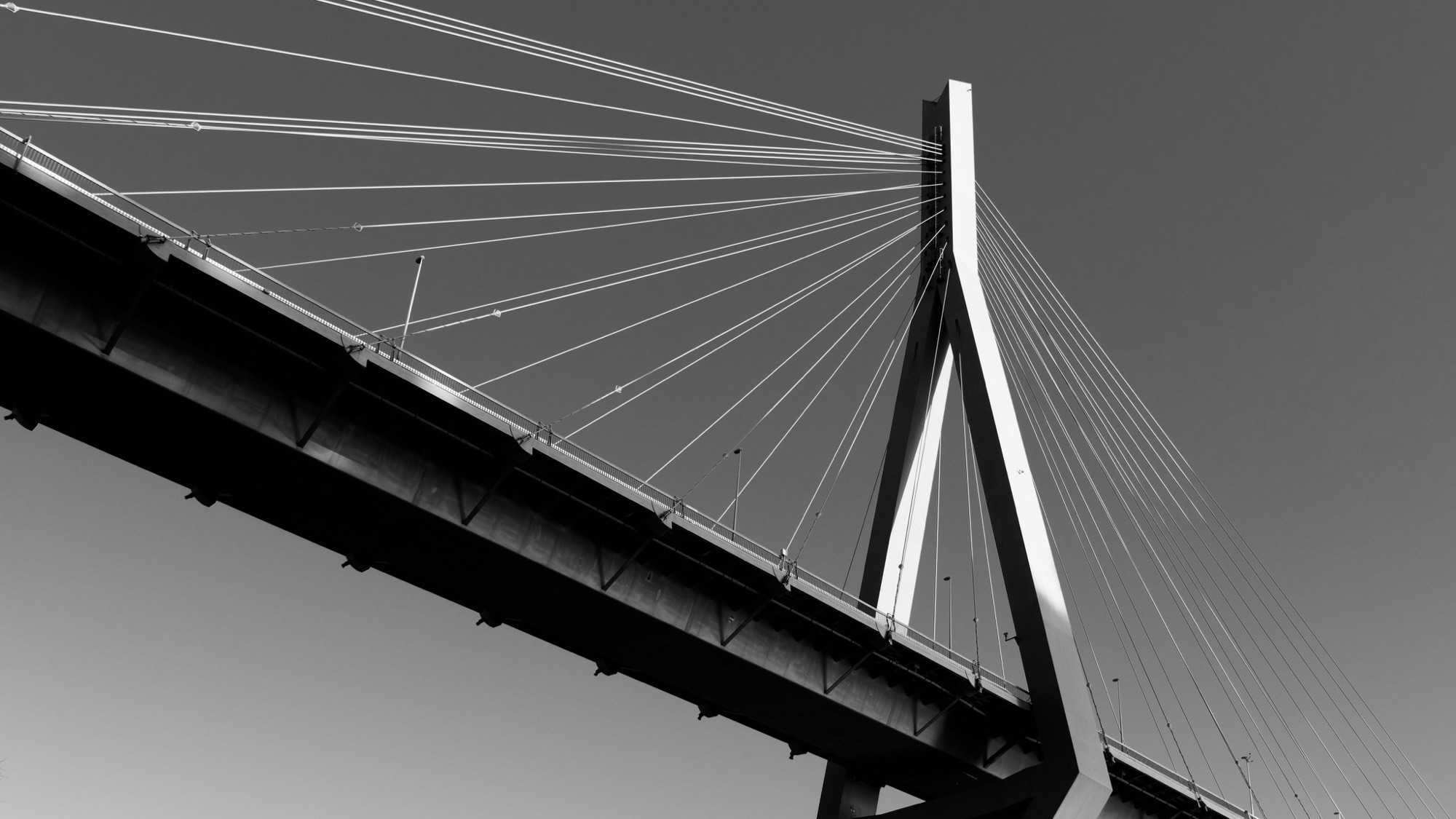 Cable-stayed bridge viewed from below